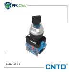 کلید فرمان یک طرفه سوئیچ دار CNTD کد LA38-11Y21L3