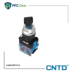 کلید فرمان دو طرفه سوئیچ دار CNTD کد LA38-20Y31L3
